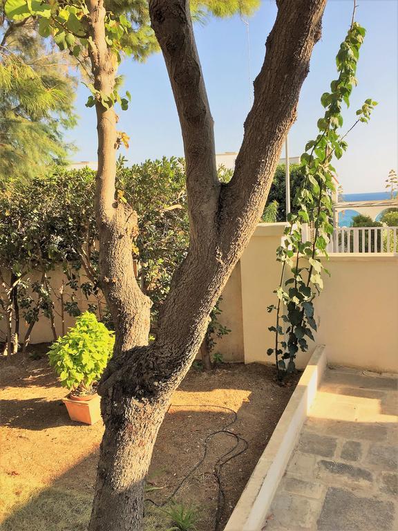 Villa Le Due Pigne (Adults Only) Tarento Exterior foto